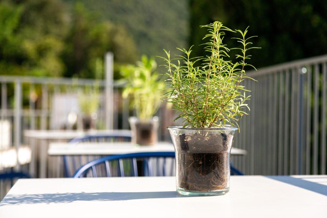 Vistalago Torbole Torbole Sul Garda Εξωτερικό φωτογραφία
